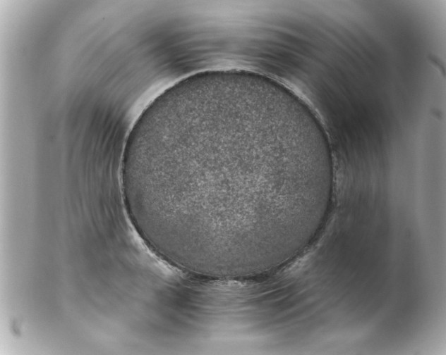 X0000102300943200808152014