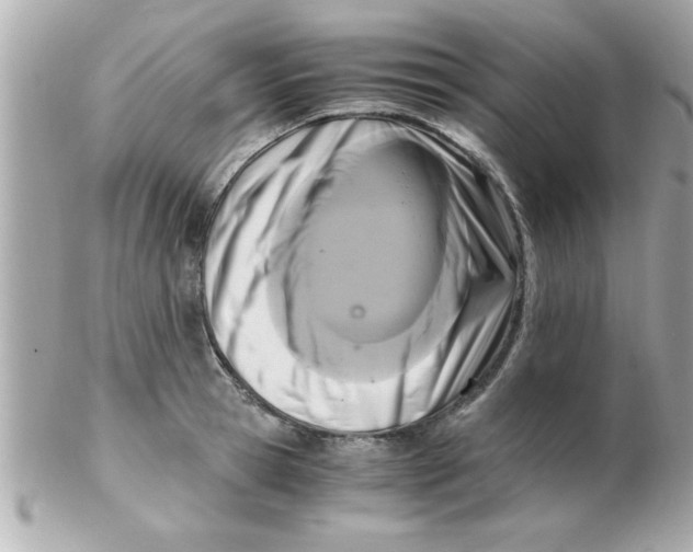 X0000102300945200808152014