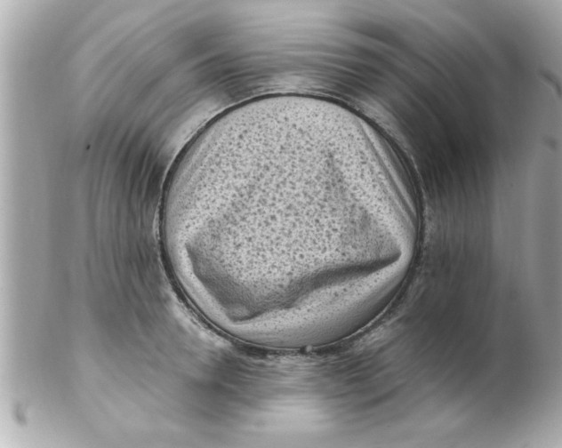 X0000102300946200808152014