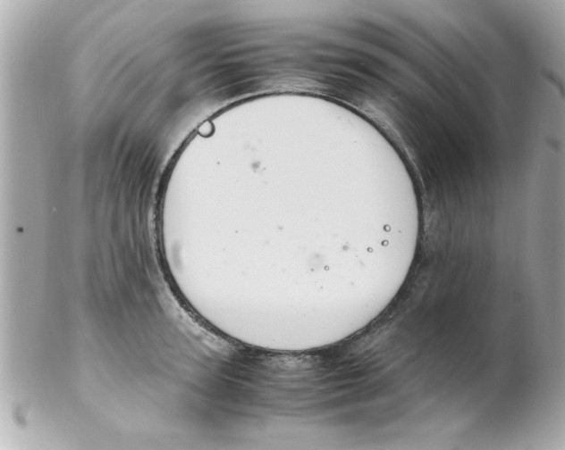 X0000102300947200808152014