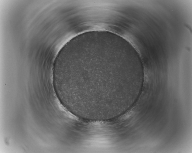 X0000102300950200808152014