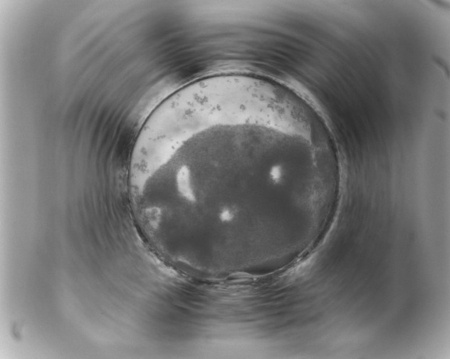 X0000102300953200808152014