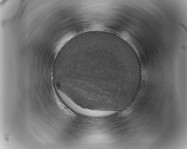 X0000102300954200808152014