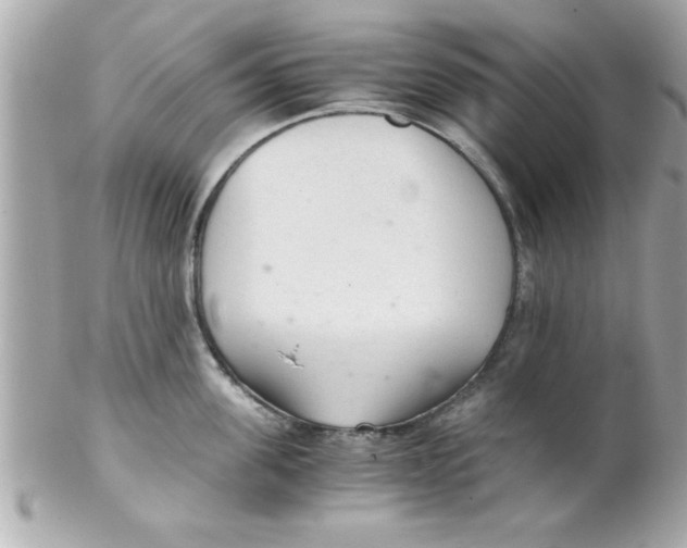 X0000102300955200808152014