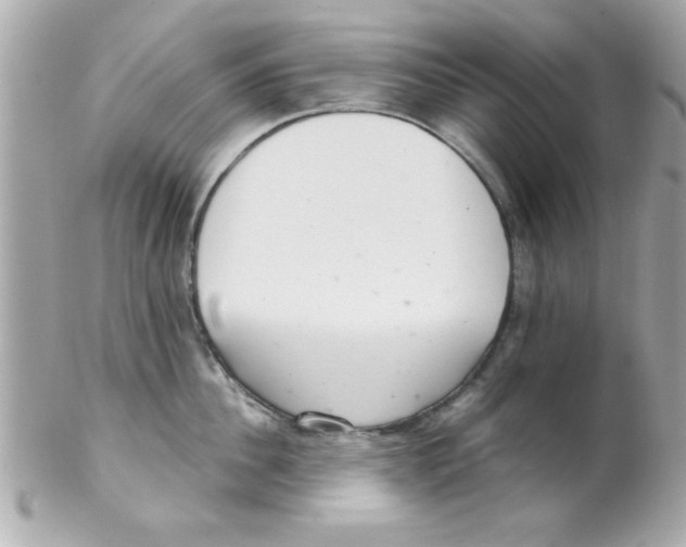 X0000102300956200808152014