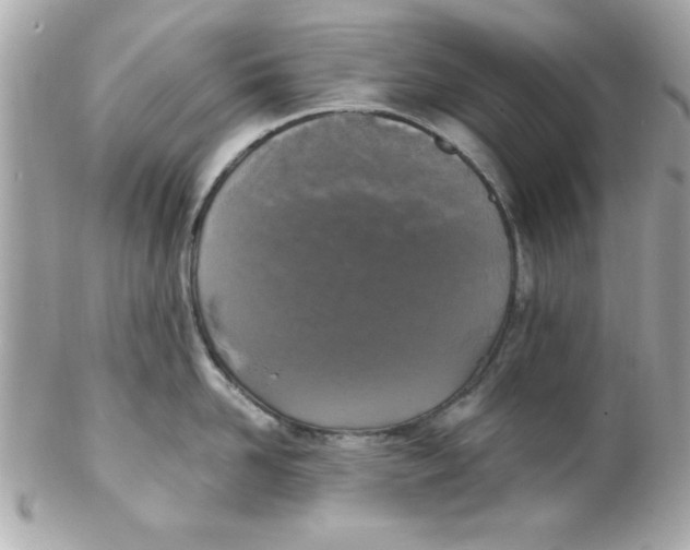 X0000102300958200808152014