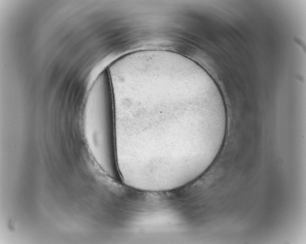 X0000102300960200808152014