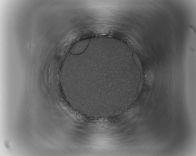 X0000102300961200808152014