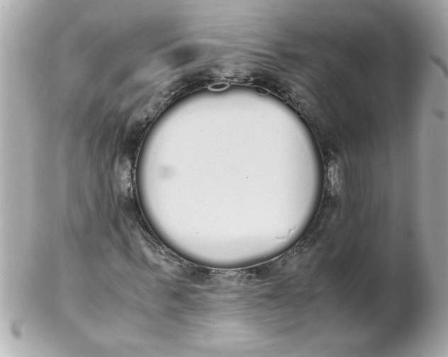 X0000102300963200808152013