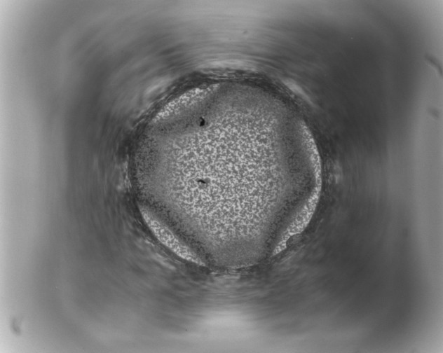 X0000102300965200808152013
