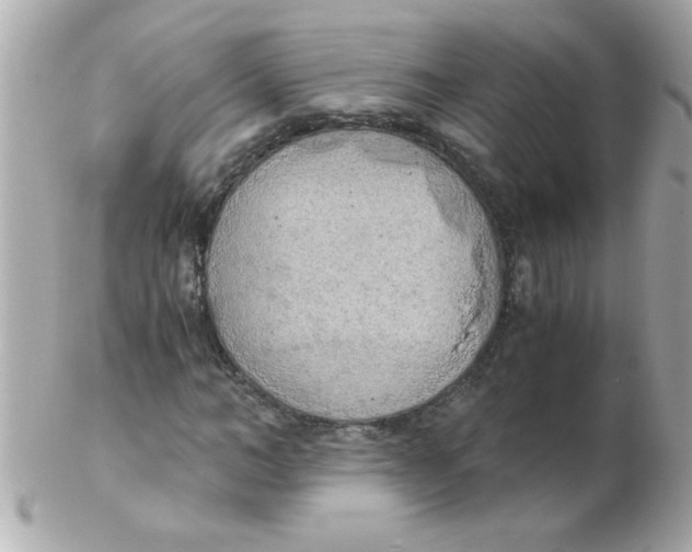 X0000102300966200808152013