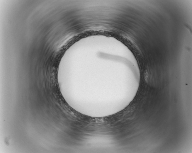 X0000102300968200808152013