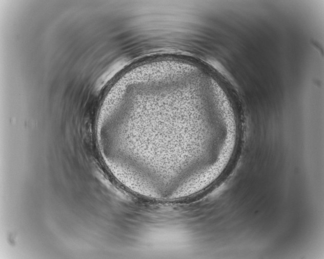 X0000102300969200808152013