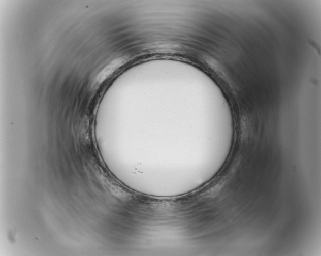 X0000102300970200808152013