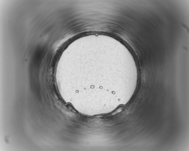 X0000102300971200808152013