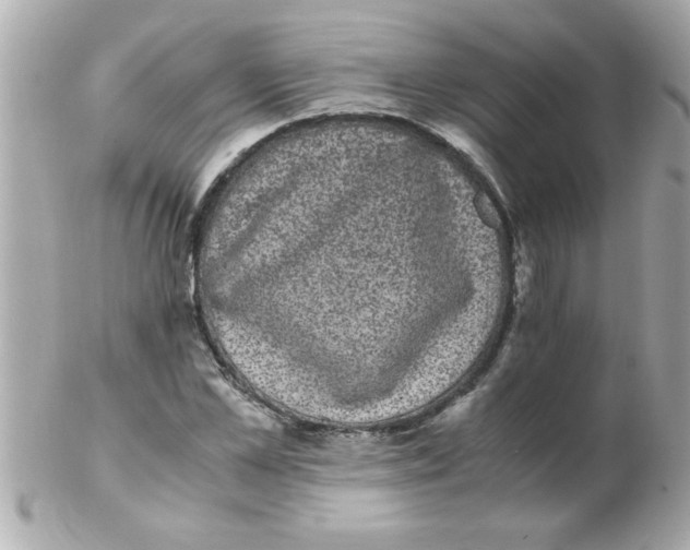 X0000102300973200808152013