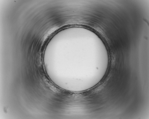 X0000102300974200808152013