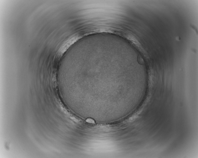 X0000102300977200808152013