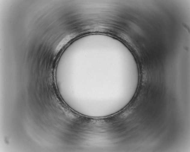 X0000102300978200808152013