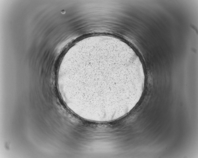 X0000102300979200808152013
