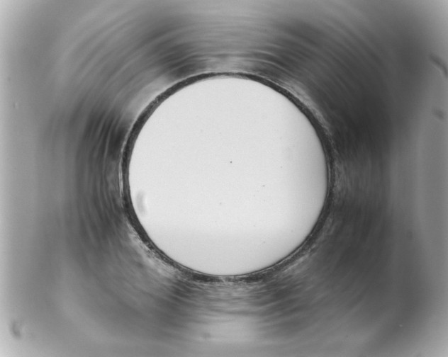 X0000102300980200808152013