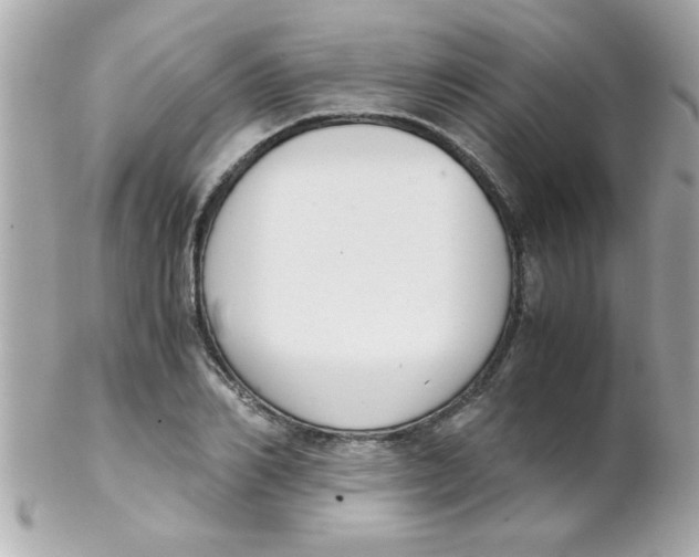 X0000102300982200808152013