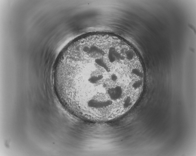 X0000102300983200808152013