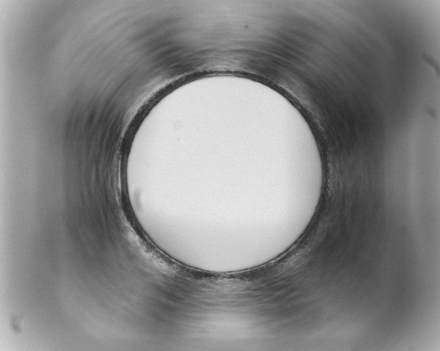 X0000102300984200808152013
