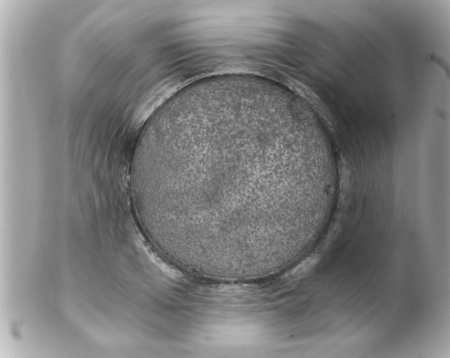 X0000102300985200808152013