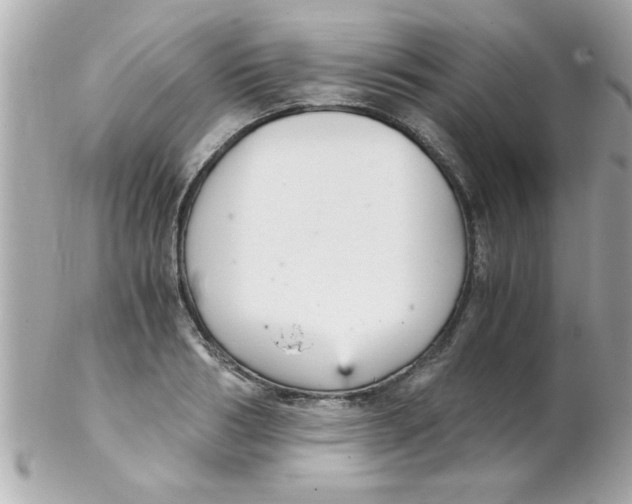 X0000102300986200808152013