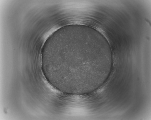 X0000102300987200808152013