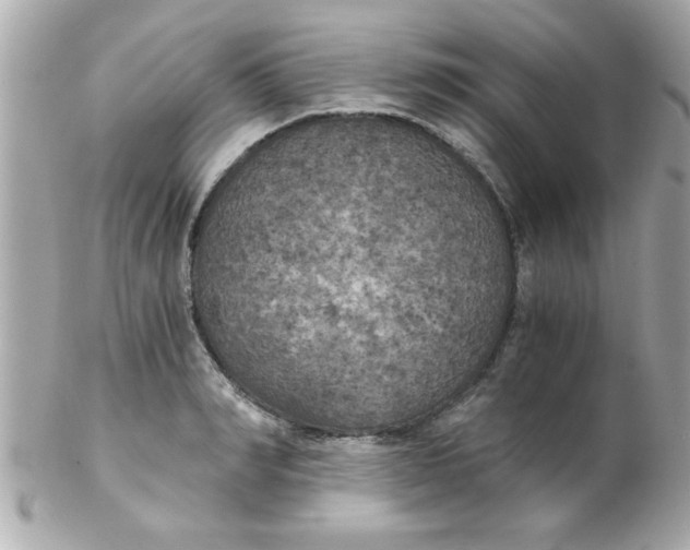 X0000102300990200808152013