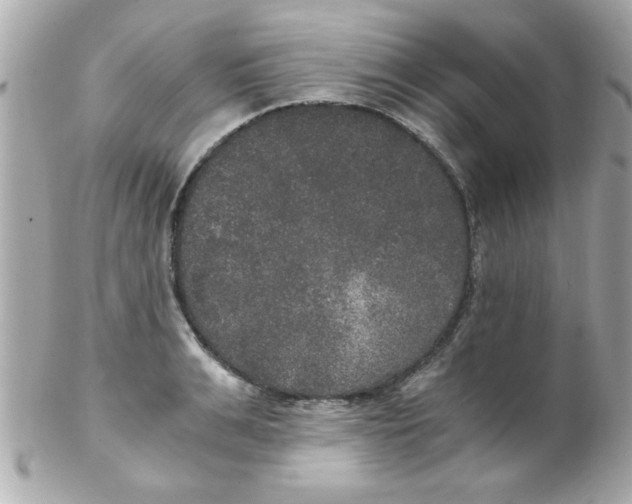 X0000102300991200808152013
