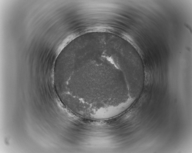 X0000102300994200808152013