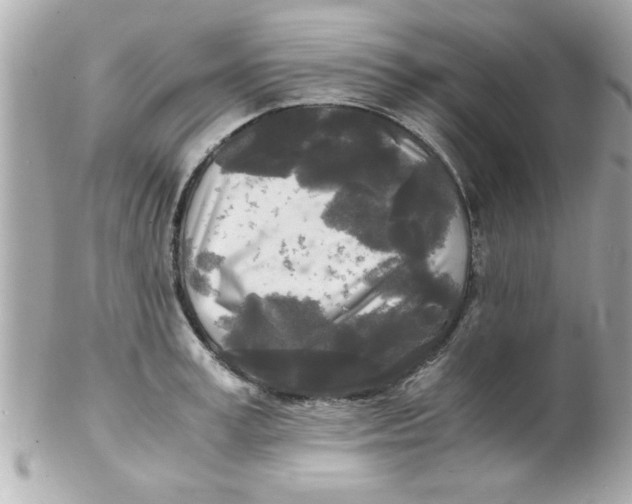 X0000102300995200808152013