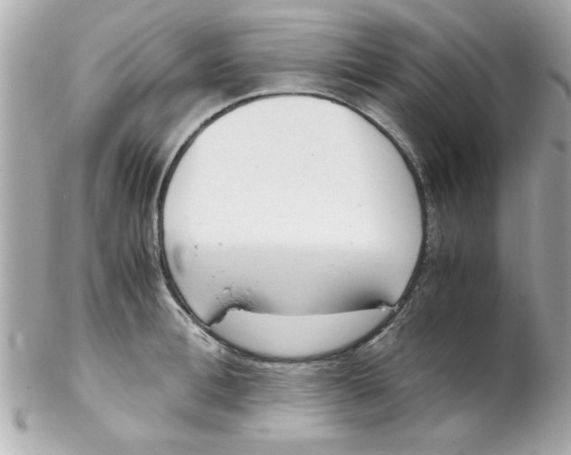 X0000102300996200808152013