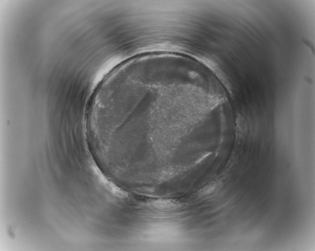 X0000102300998200808152013