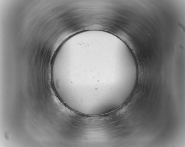 X0000102301000200808152013