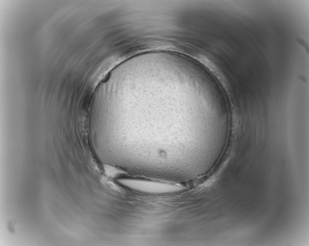 X0000102301001200808152013
