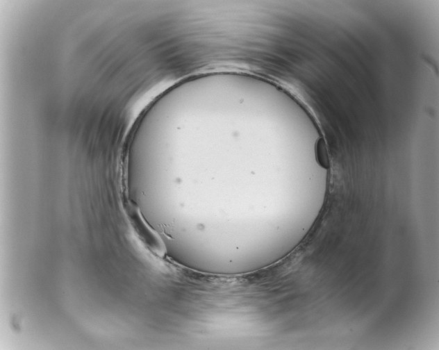 X0000102301003200808152013
