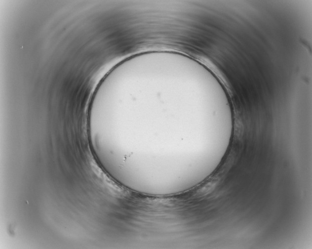 X0000102301004200808152013