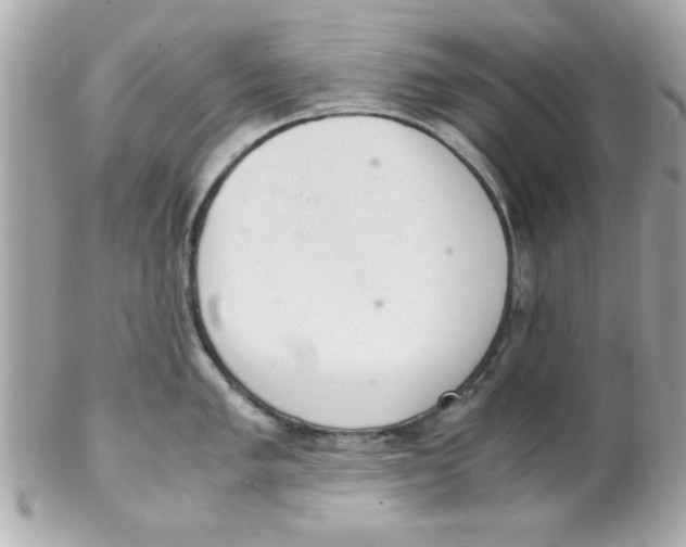 X0000102301005200808152013