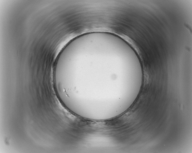 X0000102301006200808152013