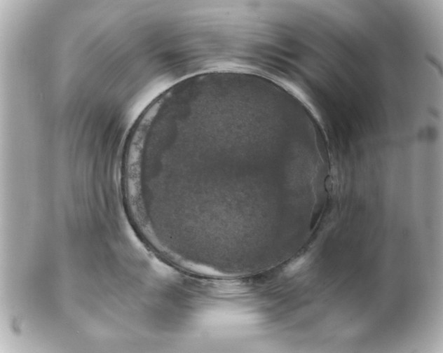 X0000102301007200808152013