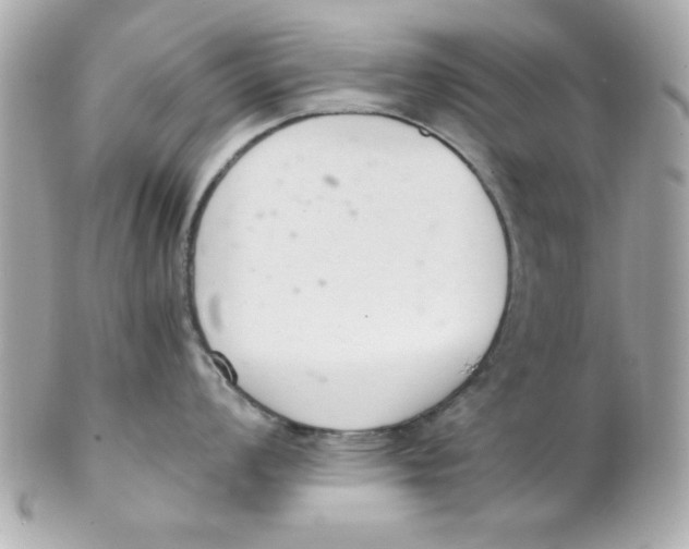 X0000102301008200808152013