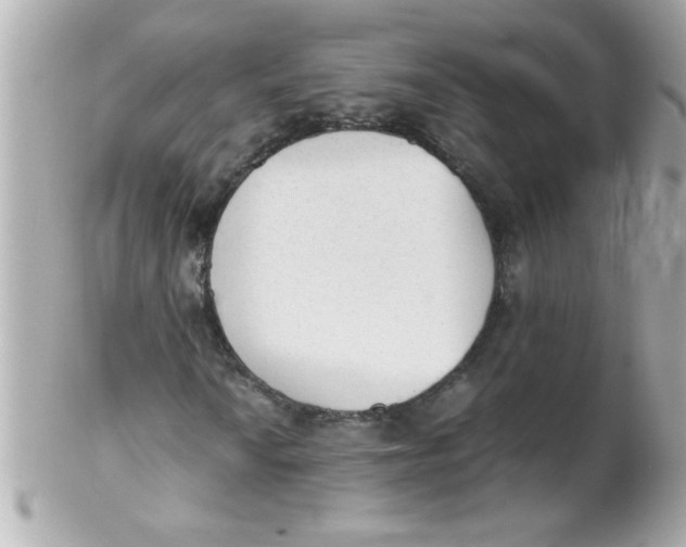 X0000102301010200808152012