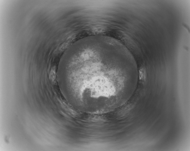 X0000102301011200808152012
