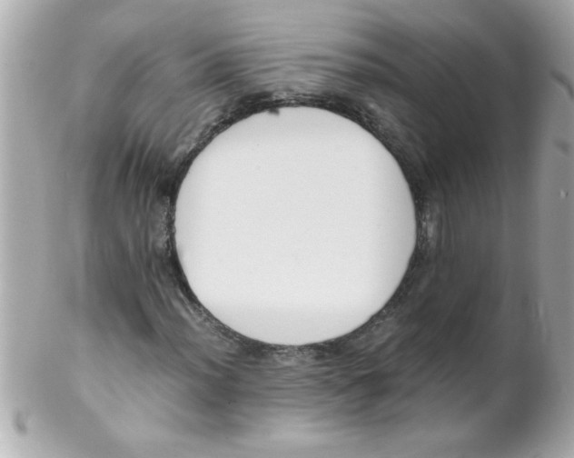 X0000102301012200808152012