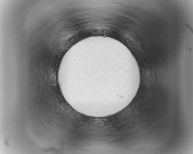 X0000102301013200808152012
