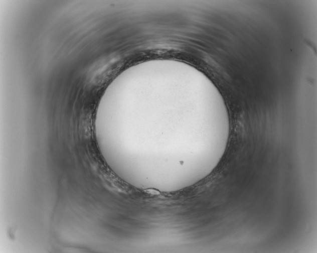X0000102301014200808152012